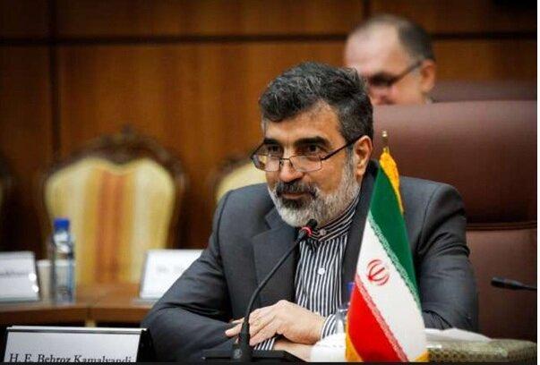 کمال وندی پیشرفت های هسته ای کشور را تشریح کرد، آنچه در گزارش های اخیر آژانس اشاره شد مورد انتظار ما بود