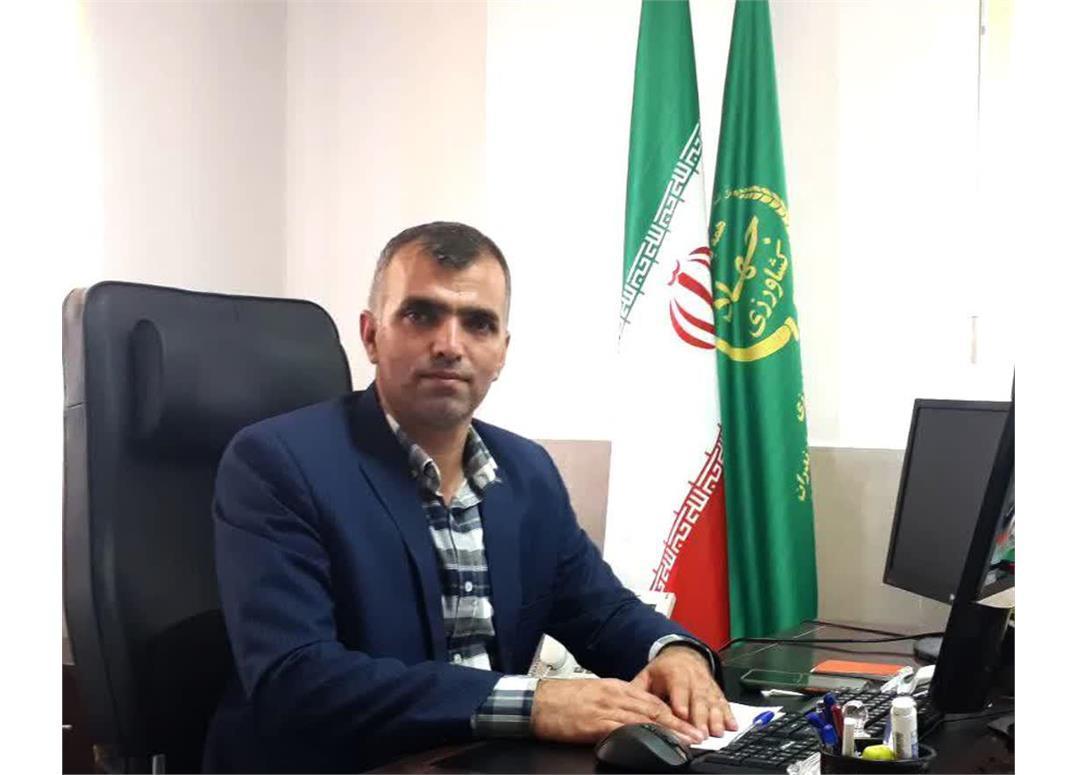 انعقاد قرارداد کشت پاییزه کلزا درسطح یکصدو یازده هکتاراز اراضی بابل