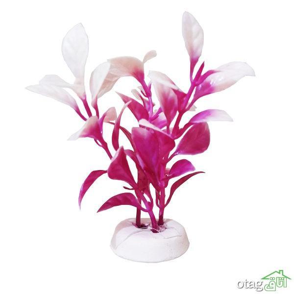 خرید 39 مدل گیاه آکواریوم بسیار زیبا با قیمت مناسب