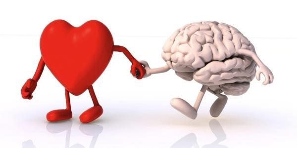 پاسخ متفاوت؛ از دل پیروی کنیم یا مغز؟