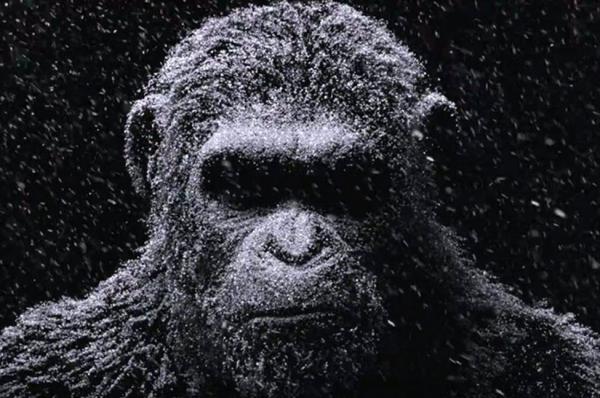 ببینید: تریلر فیلم تازه جنگ برای سیاره میمون ها