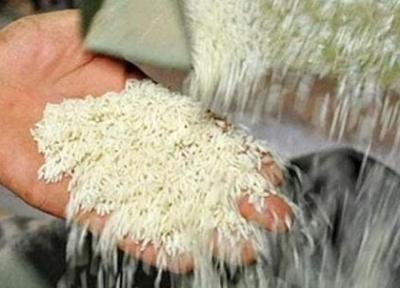 واردات برنج کلا ممنوع شد